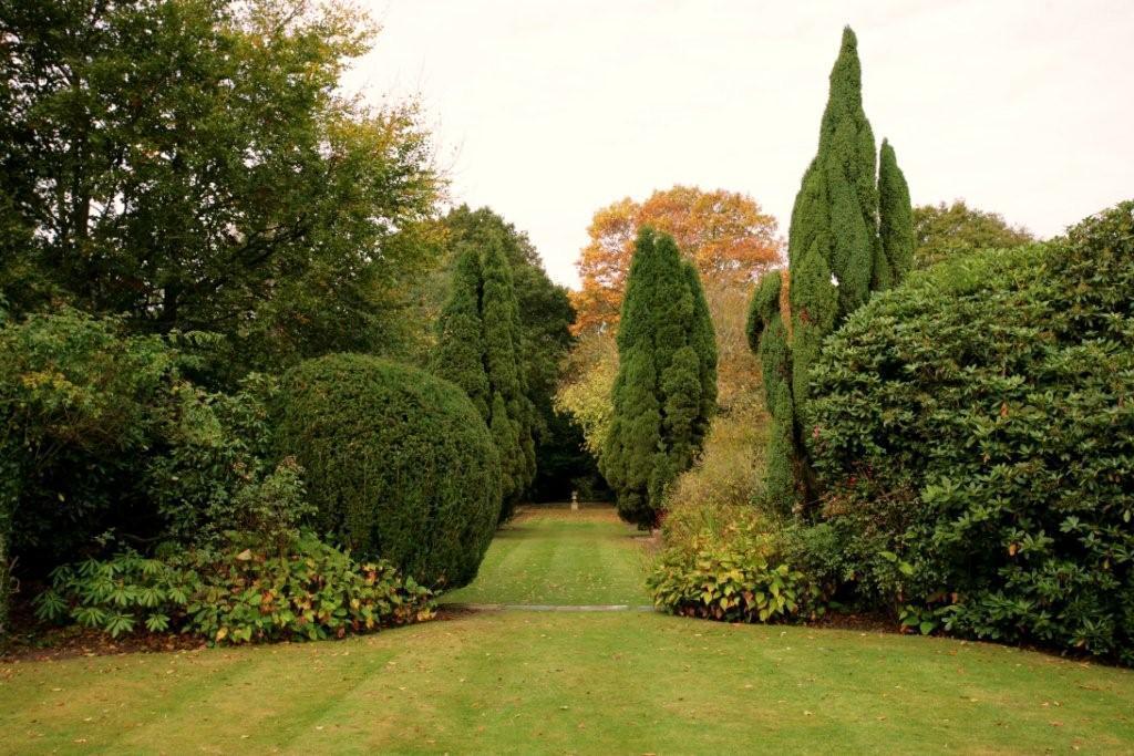 Cisswood House Ξενοδοχείο Χόρσαμ Εξωτερικό φωτογραφία